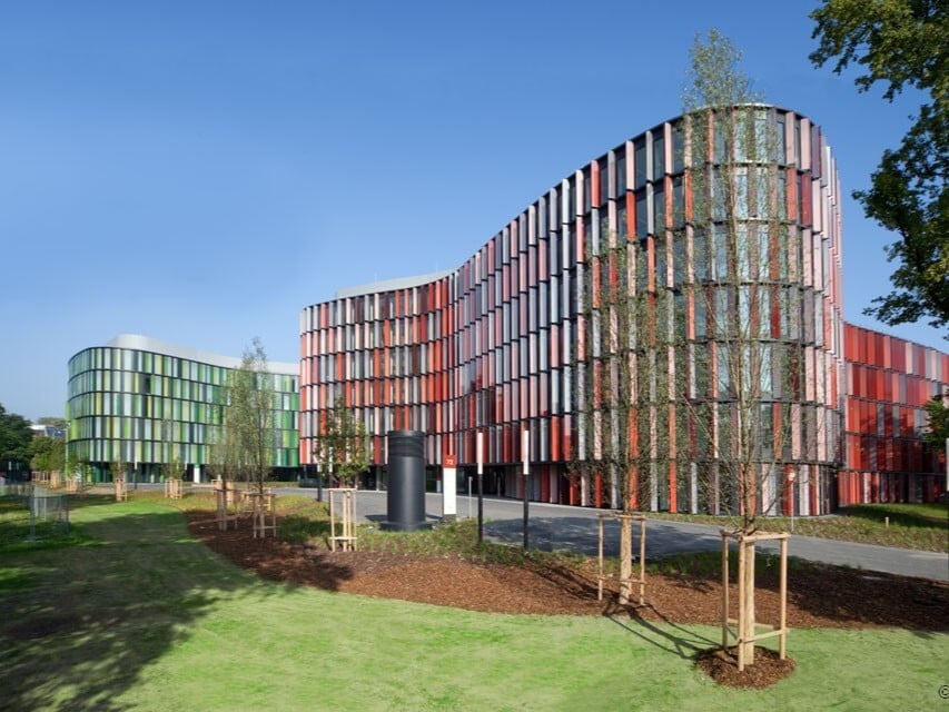 MBO-100523-COO-384r1