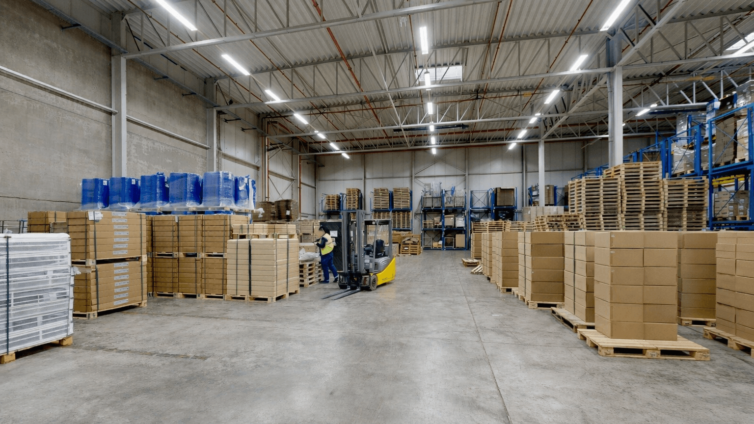 Logistikfläche Bornheim-Sechtem zwischen Köln und Bonn – Hallenansicht mit Regalanlage
